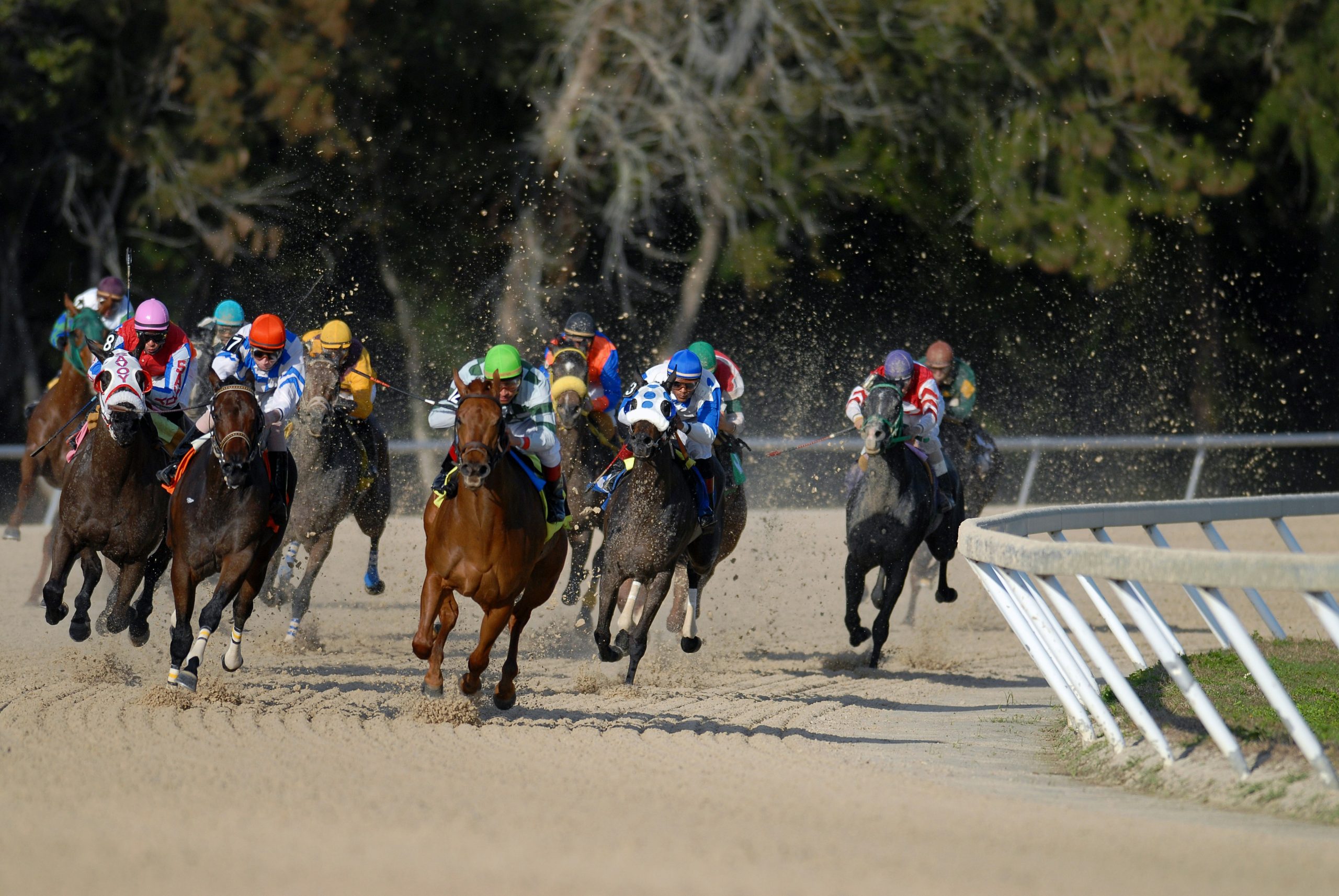 Timing System for Thoroughbred Racing - MYLAPS