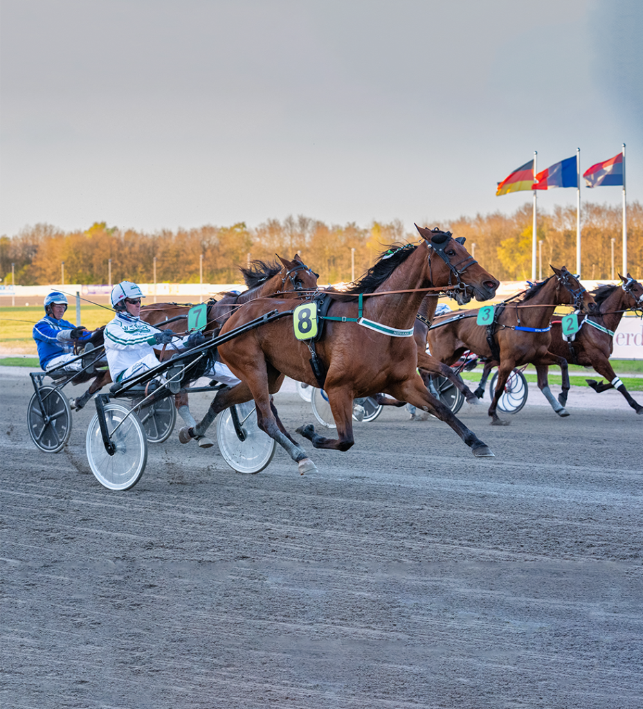X2 ProChip | Horse Racing Timing System | MYLAPS
